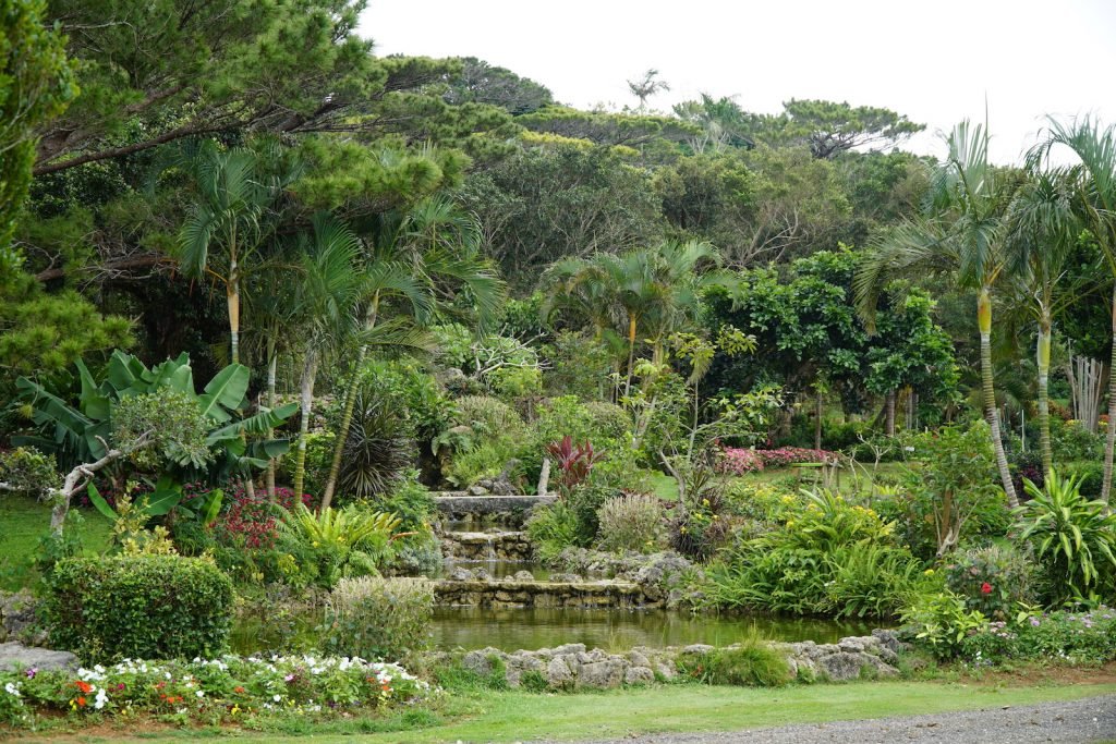 🌿 미야코지마 시립 열대식물원 (미야코지마시 넷타이 쇼쿠부츠엔) 이미지 6